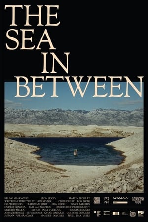 The Sea in Between